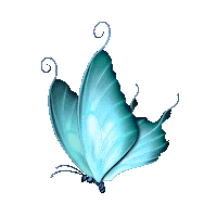 elistorycriativo butterfly borboletas elistorycriativo borboleta Sticker