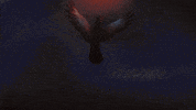 Fleet Foxes Art GIF by ANTI- Records