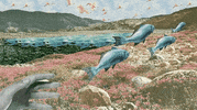 Fish Hands GIF by Temple Caché