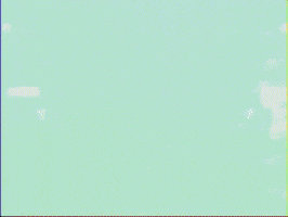 Skarmuse vhs adorable video art spiritual GIF