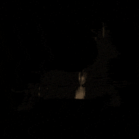 Adventure Hunting GIF by Cinegetics