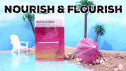 voeshny vegan clean nails spa GIF