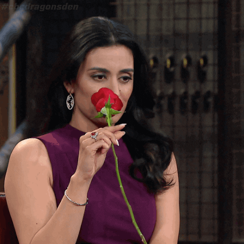 dragons' den rose GIF by CBC
