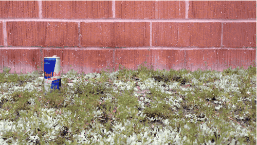 run running GIF by Red Bull