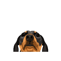Picklepp Sticker by Pickle's Pawtraits