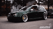 Show Stance GIF by Curated Stance!