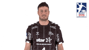 Handball-Bundesliga Handball GIF by LIQUI MOLY HBL