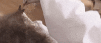 paper love GIF by Allie X