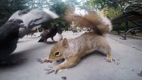 Lunch Eating GIF