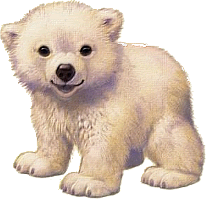 cub STICKER