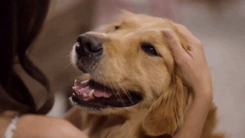 Summer Fun Love GIF by Hallmark Channel