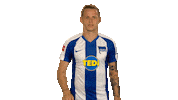 Knock Knock Hello Sticker by Bundesliga