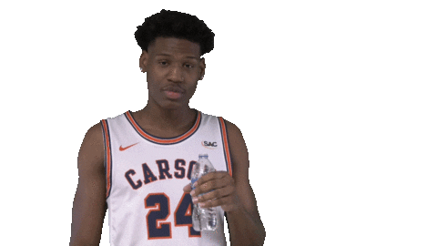 Water Cnmb Sticker by Carson-Newman Athletics