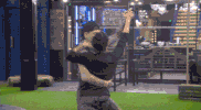 bbuk big brother reality tv cbb celebrity big brother GIF
