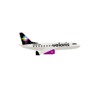 Travel Love Sticker by Volaris