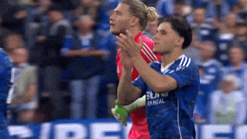 Football Soccer GIF by FC Schalke 04