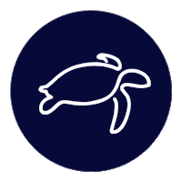 Diving Kohtao Sticker by Isla Tortuga Divers