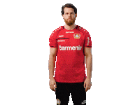 Bayer 04 Werkself Sticker by Bayer 04 Leverkusen