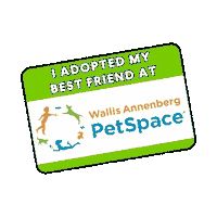 Adoption Adopt Sticker by Wallis Annenberg PetSpace