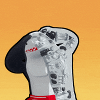 Happy Shark GIF by Party Icons