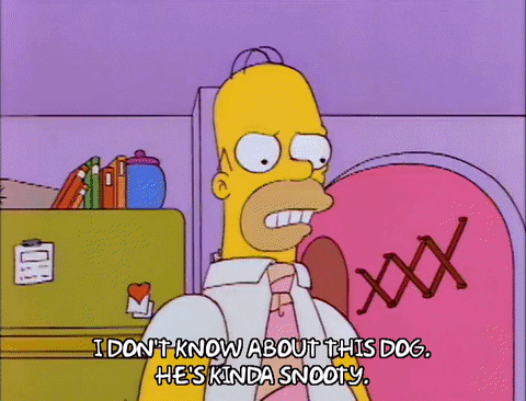 i dont know homer simpson GIF