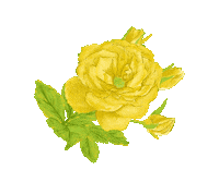 Vasia Vassiakostara Sticker by VassiaKostara_LimitedCollection