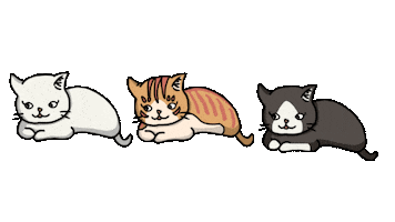 Cat ねこ Sticker