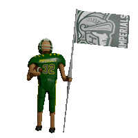 Football Nfl Sticker by IMPERIALSREUS