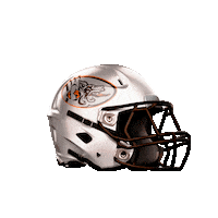 Football Nfl Sticker by IMPERIALSREUS