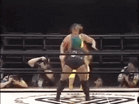 bull nakano 90s GIF