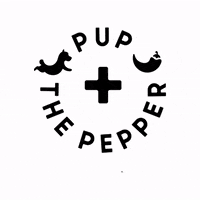 pupandthepepper hotsauce pupandthepepper GIF