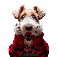 Home Alone Christmas Sticker