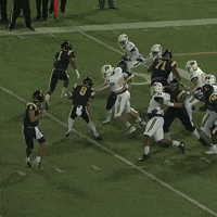 Defense Gomocs GIF by Chattanooga Mocs