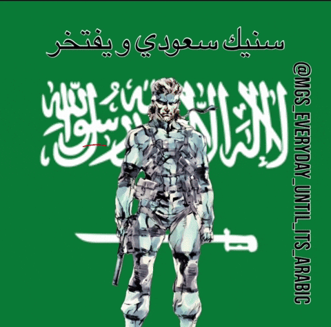 Saudi Arabia GIF