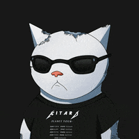 Party Cats GIF by Kitaro World