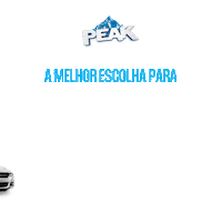 peakautomotiva caminhao peak veiculo lubrificante Sticker