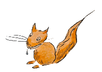 Squirrel Brooks Hauser Sticker