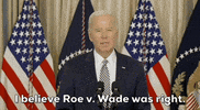 Joe Biden GIF by GIPHY News