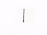 Dog Growing GIF by Barbara Pozzi