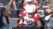 Arizona Cardinals Football GIF by NFL