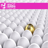 GIF by MIGLIORINO Design Couture