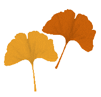 Fall Autumn Sticker by KolibriDesign by Tamy