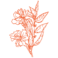 Back To Life Jesus Sticker by Elevated Faith