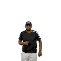 stanley cup what Sticker by Red Bull