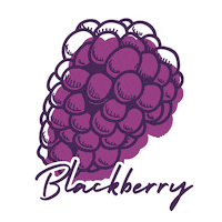 Fruit Berry Sticker by Berries Paradise