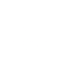 Raise Hell Sticker by Brandi Carlile