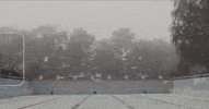 Eli GIF by James Hersey