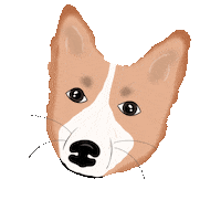 Mpr Muddy Paws Sticker by Muddy Paws Rescue NYC