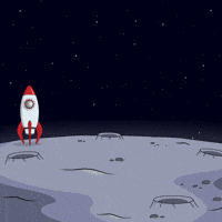 To The Moon Space GIF by Pudgy Penguins