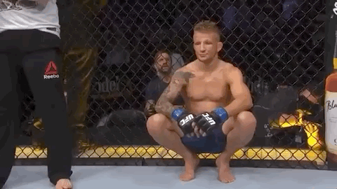 ufc fight night sport GIF by UFC